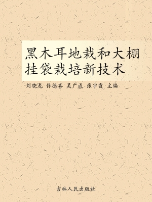 黑木耳地栽和大棚挂袋