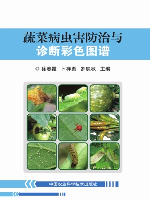 蔬菜病虫害防治与诊断