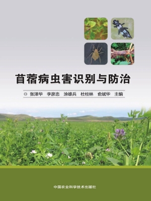 苜蓿病虫害识别与防治