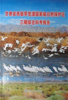 甘肃安西极旱荒漠国家