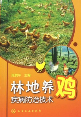 林地养鸡疾病防治技术