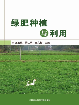 绿肥种植与利用