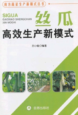 丝瓜高效生产新模式
