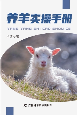 养羊实操手册