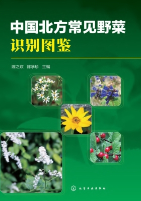 中国北方常见野菜识别