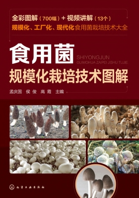 食用菌规模化栽培技术