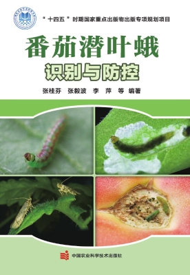番茄潜叶蛾识别与防控