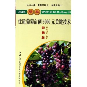 优质葡萄亩创5000 元