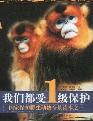 我们都受1级保护