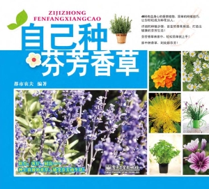自己种芬芳香草