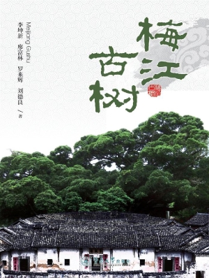 梅江古树