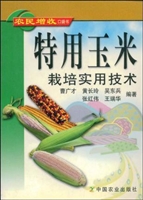 特用玉米栽培实用技术