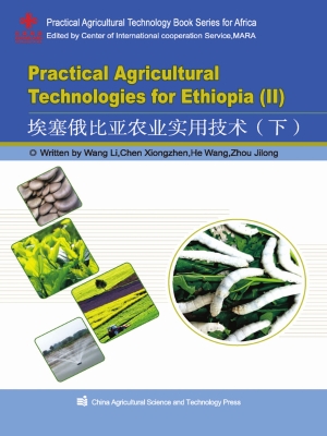 埃塞俄比亚农业实用技