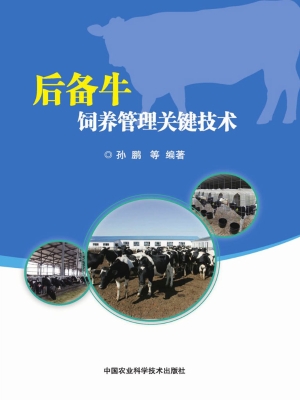 后备牛饲养管理关键技