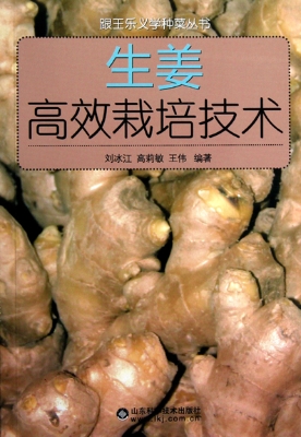 生姜高效栽培技术