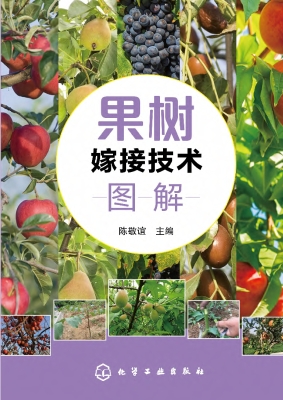 果树嫁接技术图解