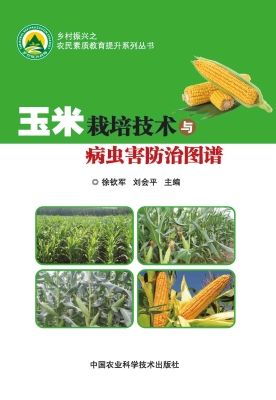 玉米栽培技术与病虫害