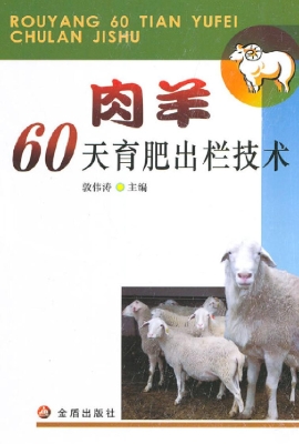 肉羊60天育肥出栏技术