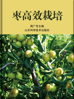 枣高效栽培