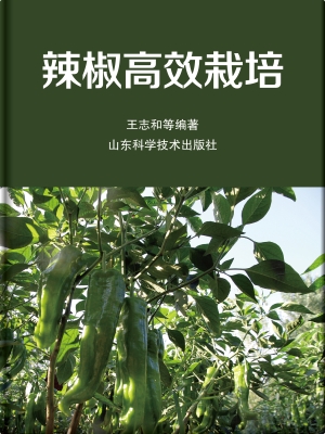 辣椒高效栽培