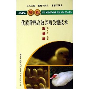 优质番鸭高效养殖关键