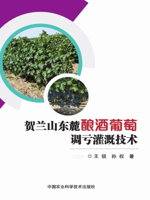 贺兰山东麓酿酒葡萄调