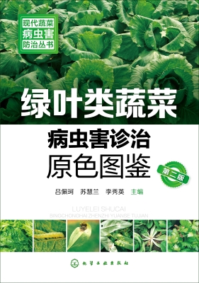绿叶类蔬菜病虫害诊治