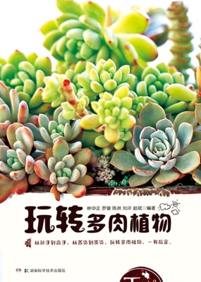 玩转多肉植物