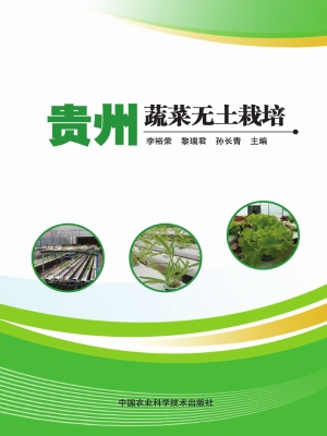 贵州蔬菜无土栽培
