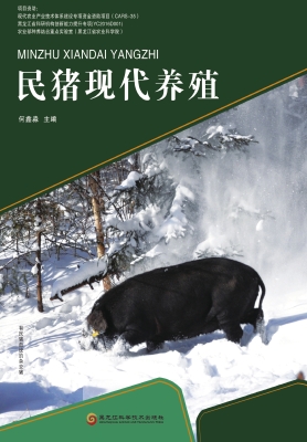 民猪现代养殖