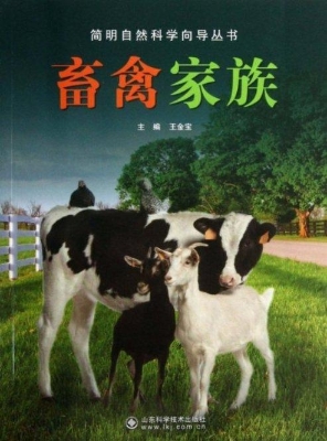 畜禽家族