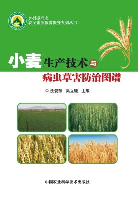 小麦生产技术与病虫草