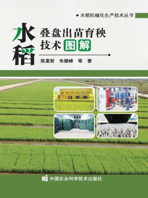 水稻叠盘出苗育秧技术