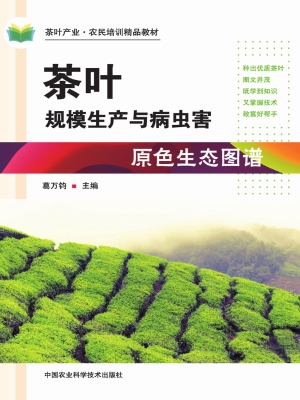 茶叶规模生产与病虫害