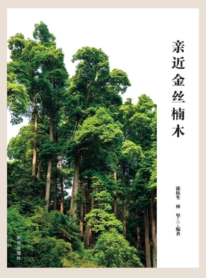 亲近金丝楠木