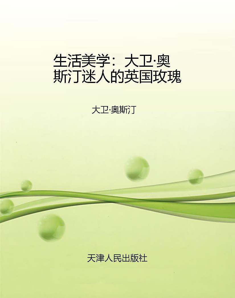 生活美学：大卫·奥斯汀