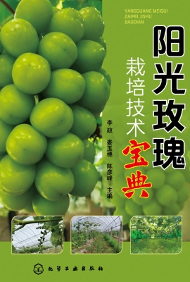 阳光玫瑰栽培技术宝典