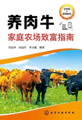 养肉牛家庭农场致富指