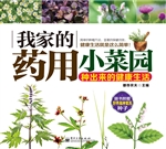 我家的药用小菜园——