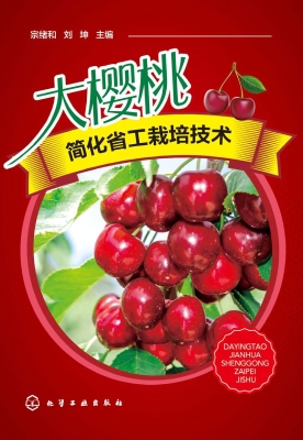 大樱桃简化省工栽培技