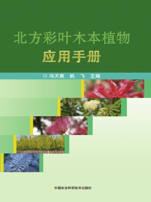 北方彩叶木本植物应用