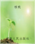 核桃