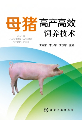 母猪高产高效饲养技术