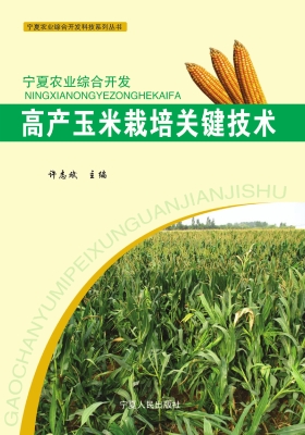 高产玉米栽培关键技术