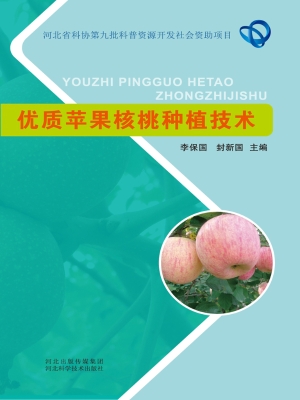 优质苹果核桃种植技术