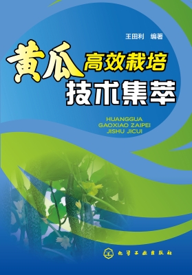 黄瓜高效栽培技术集萃
