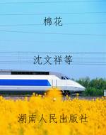 棉花