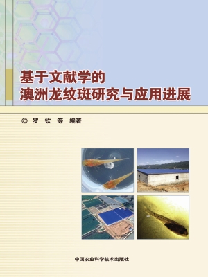 基于文献学的澳洲龙纹