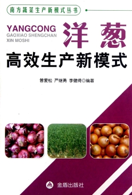 洋葱高效生产新模式