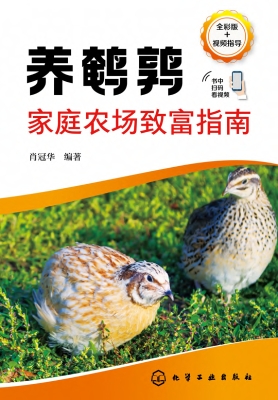 养鹌鹑家庭农场致富指